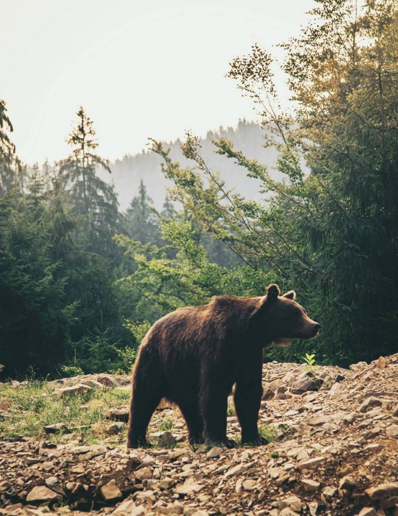 Озеро Синевир Озеро Синевир
