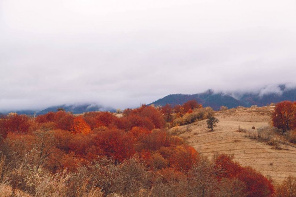 ОЗЕРО СИНЕВИР - Найкрасивіше озеро України 7 ОЗЕРО СИНЕВИР - Найкрасивіше озеро України