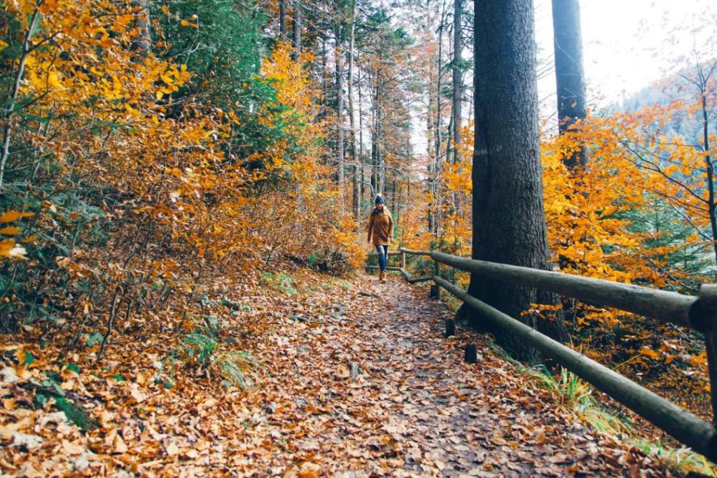 Озеро Синевир Озеро Синевир