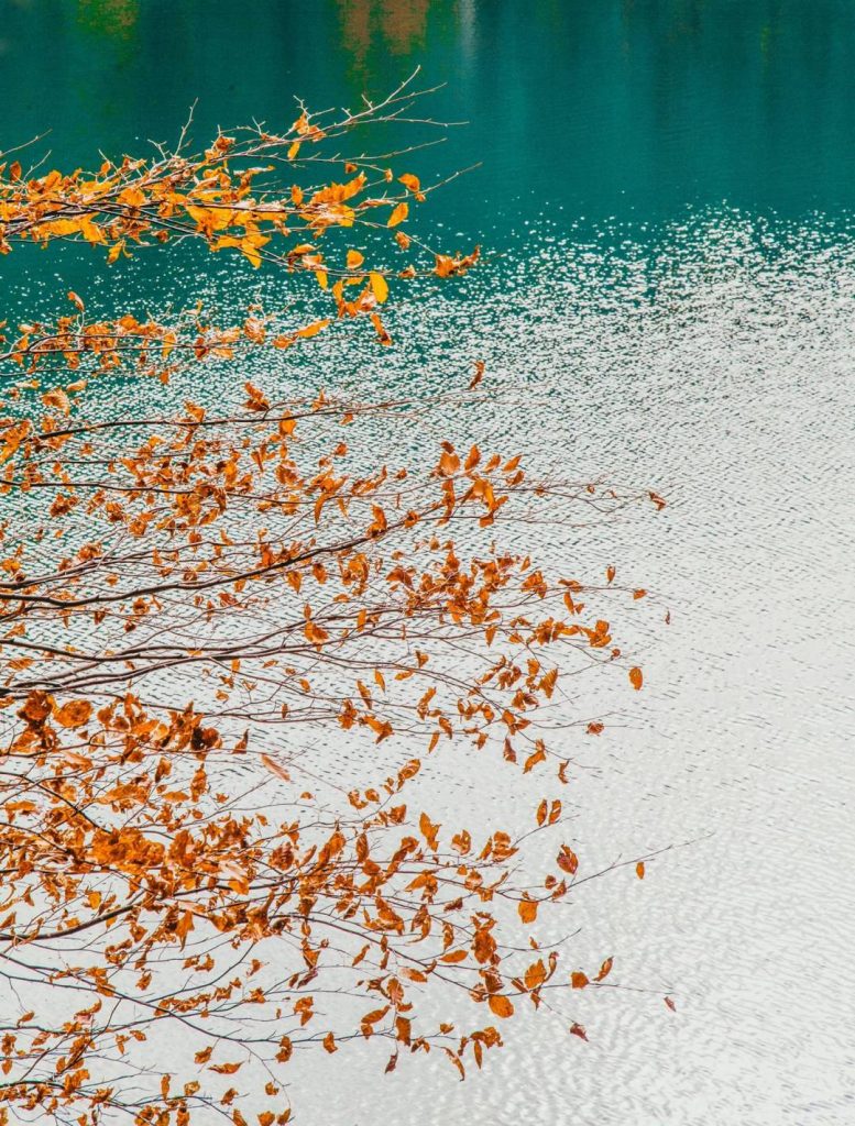 Озеро Синевир Озеро Синевир