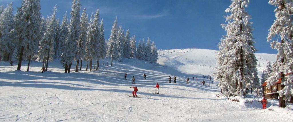 Українські Карпати — відпочинок на будь який смак і гаманець 6 Драгобрат