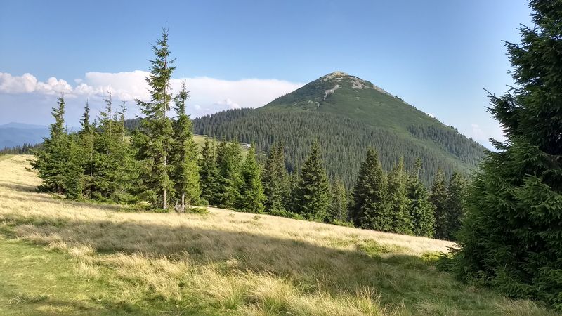 Українські Карпати — відпочинок на будь який смак і гаманець 15 Гора Хом’як