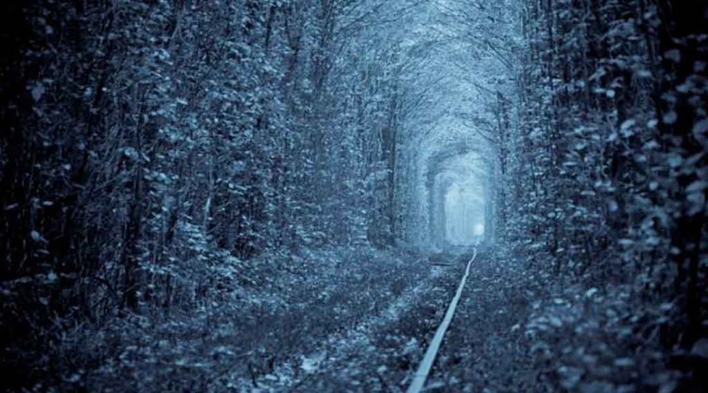 Тунель кохання — найромантичніше місце в Україні 3 Тунель кохання зимою