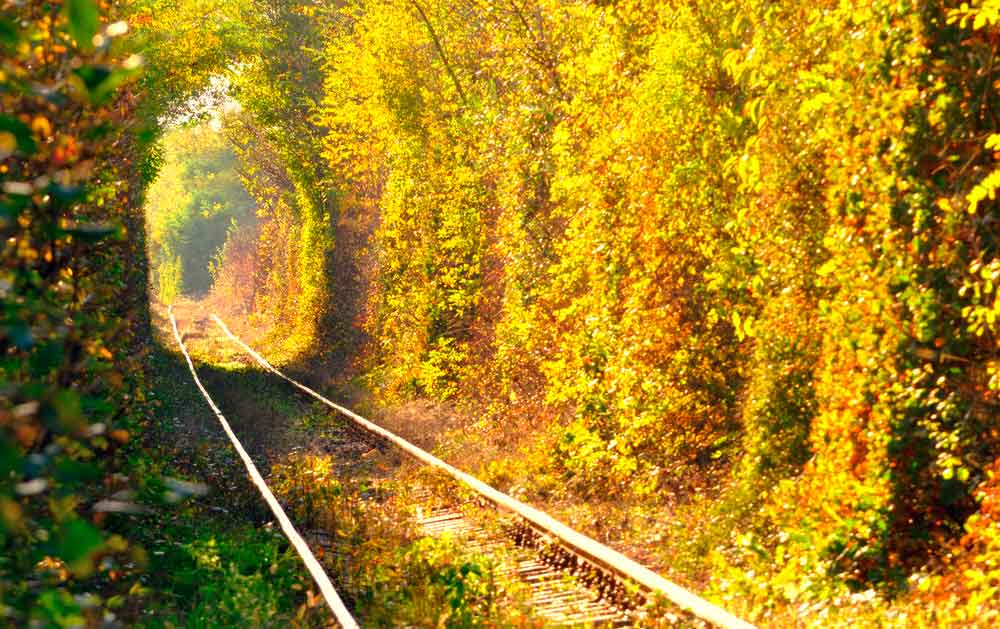 Тунель кохання — найромантичніше місце в Україні 2 Тунель кохання